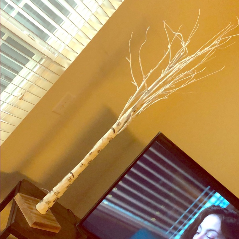 Light up Christmas decor (Tree)